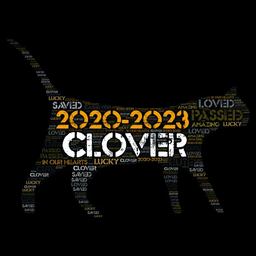 Clover 2020-2023 r.i.p word cloud art