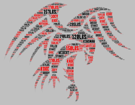 Wrestling word cloud art