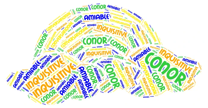 Conor 2 word cloud art