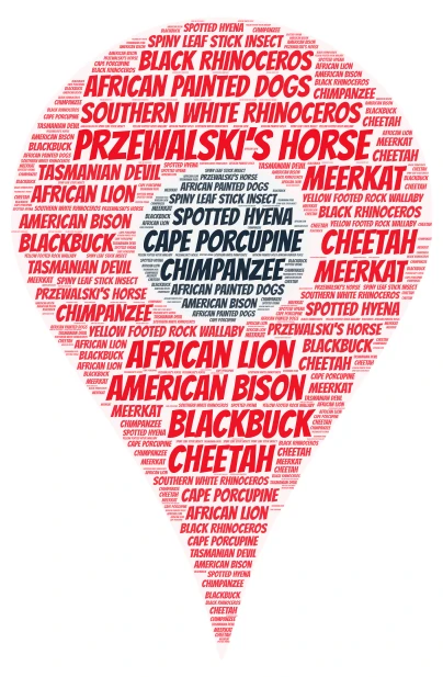 animals at location word cloud art