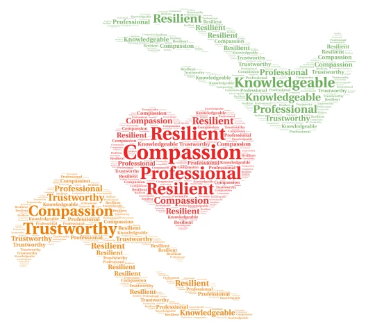 Professional Qualities word cloud art