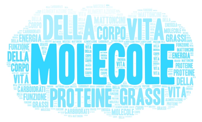 molecole word cloud art