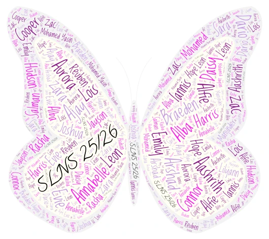 Butterflies 25 26 word cloud art