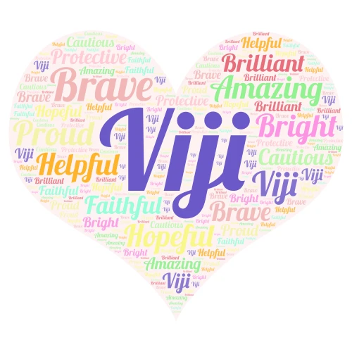 Viji - The Bridge Home word cloud art