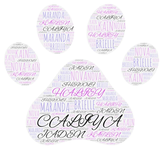 SHEWOLF word cloud art