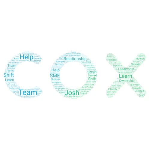 Josh  word cloud art