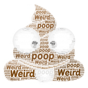 Weird Poop word cloud art