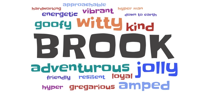 Brook word cloud art