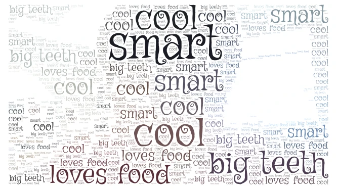 best pic ever word cloud art