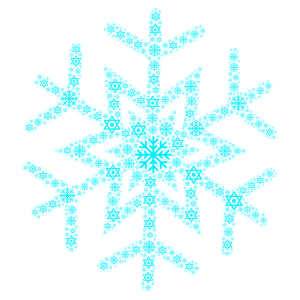 snowflake#bis word cloud art