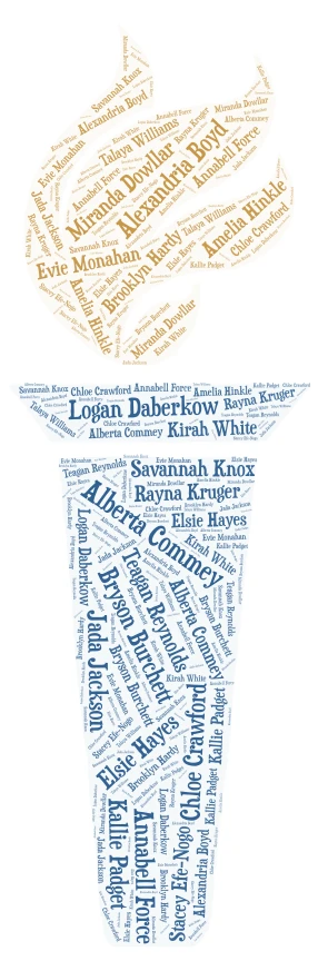 NHS Shirt Design  word cloud art