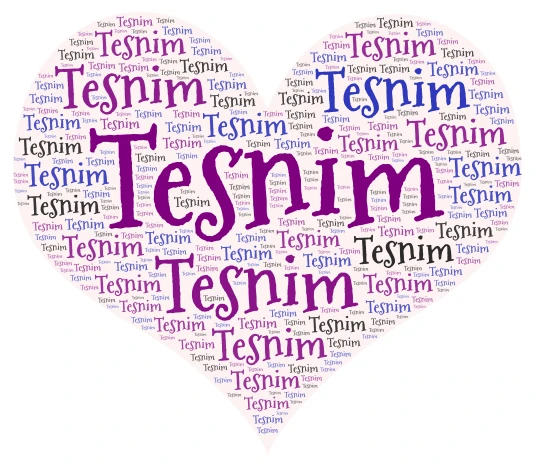tESNIM word cloud art