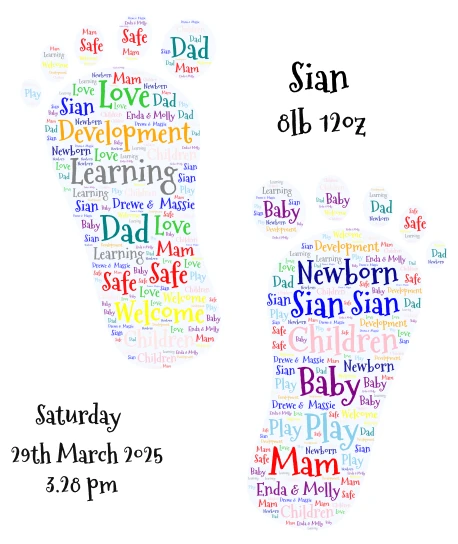 enda mollie word cloud art