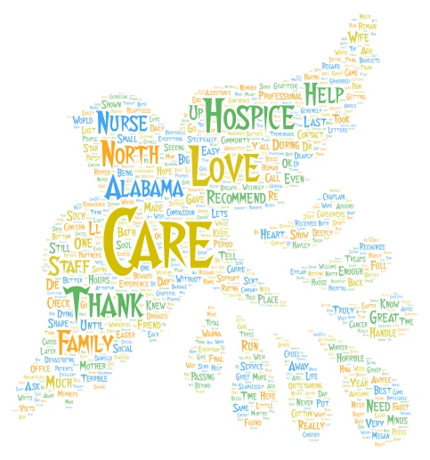 Hospice Agency Reviews word cloud art