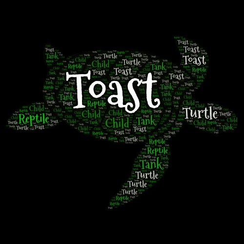 Toast The Turtle word cloud art