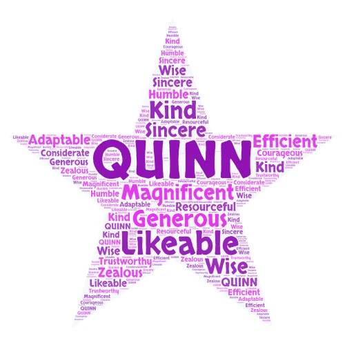 Quinn word cloud art