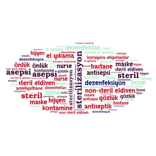 sterilizasyon  word cloud art