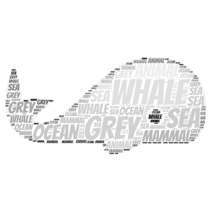 Whale word cloud art