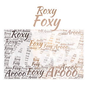 Roxy Foxy word cloud art