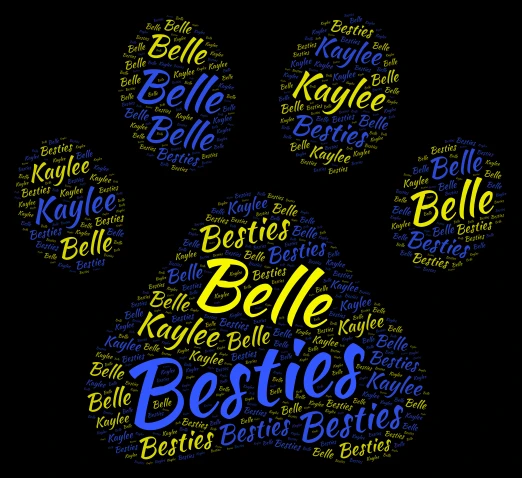 BELLE AND ME word cloud art
