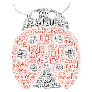 lady bug word cloud art