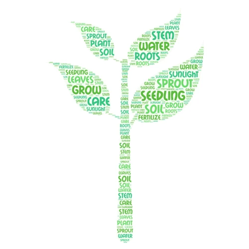 A Baby Plant 🌱 word cloud art