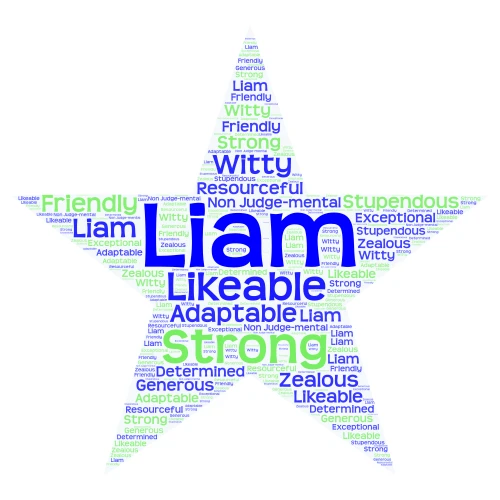 LIAM word cloud art