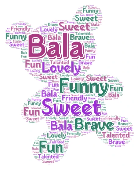 Bala word cloud art