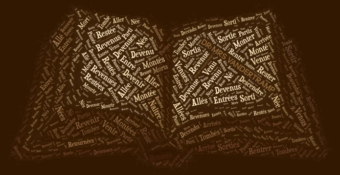  Dr Ms Vandertramp - With Conjugations  word cloud art