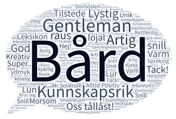 Ordsky Bård word cloud art