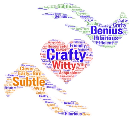 Steve word cloud art