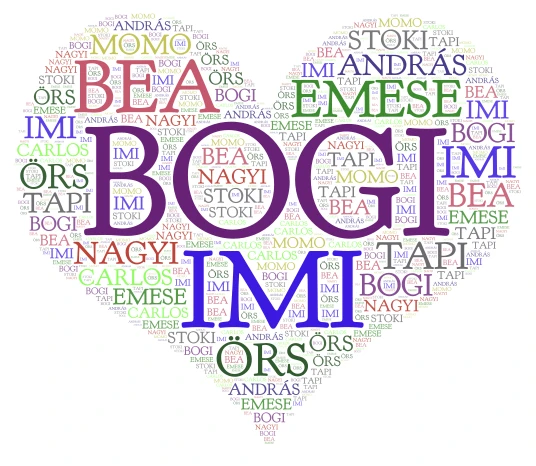 Bogi word cloud art