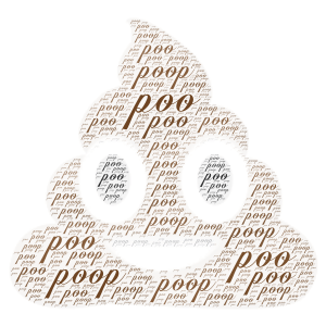 poop word cloud art