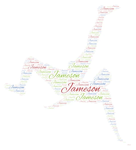JAMESON word cloud art