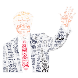 Dump the Trump! word cloud art