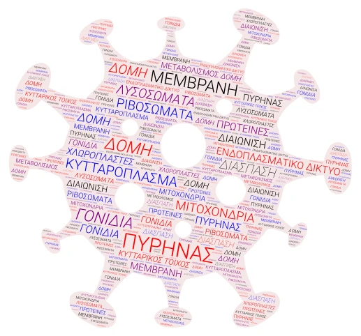 ΣΥΝΝΕΦΟΛΕΞΟ ΚΥΤΤΑΡΟ word cloud art