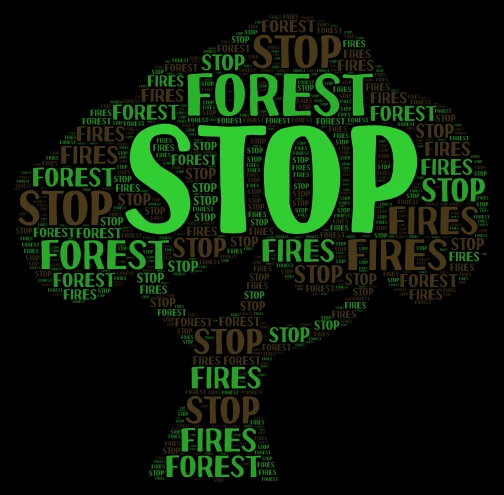Stop forest fires word cloud art