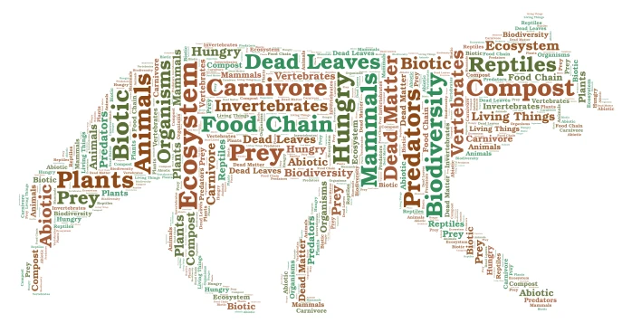 Ecosystem word cloud art