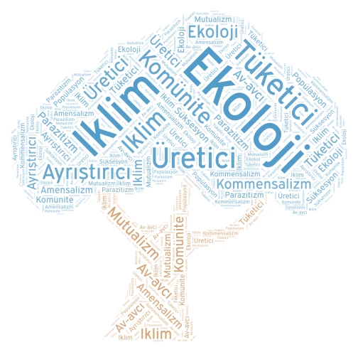 Ekosistem Kavramları word cloud art