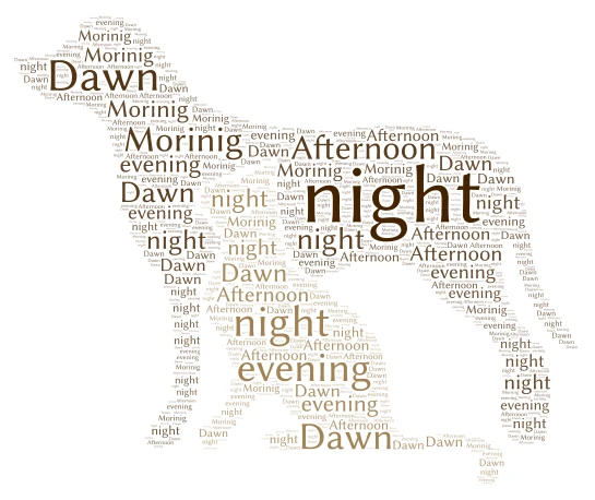 Nube de ideas Aaron Martinez word cloud art