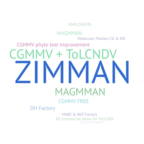WORDS FY PRESENTATION word cloud art