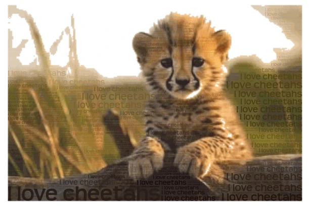 Cheetah word cloud art