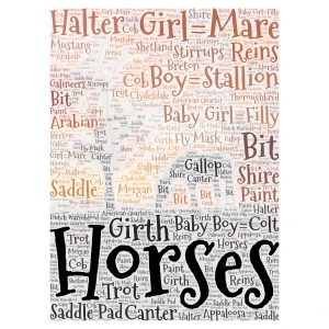 All about Horses! word cloud art