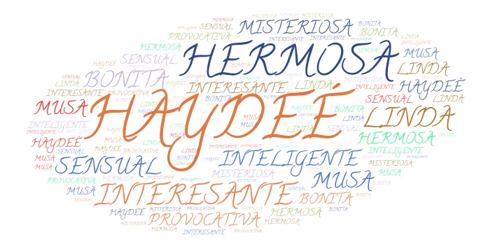 HAYDEE word cloud art