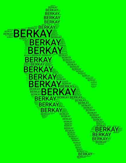 Bilgi  word cloud art