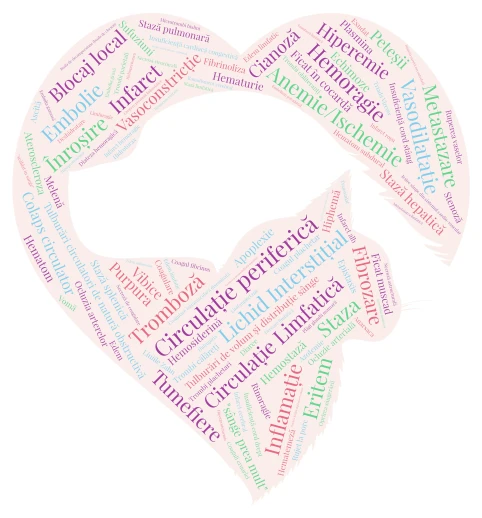 Modificări ale circulației sanguine, limfatice si ale lichidului interstițial word cloud art