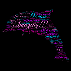  Dolphins word cloud art