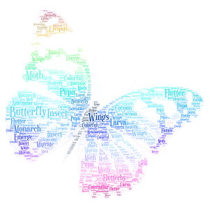  butterfly word cloud art