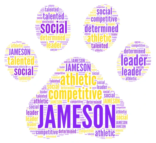 jameson word cloud art