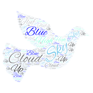 bird in the sky word cloud art